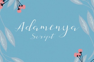 Adamenya: A Handwritten Font for Authentic Branding