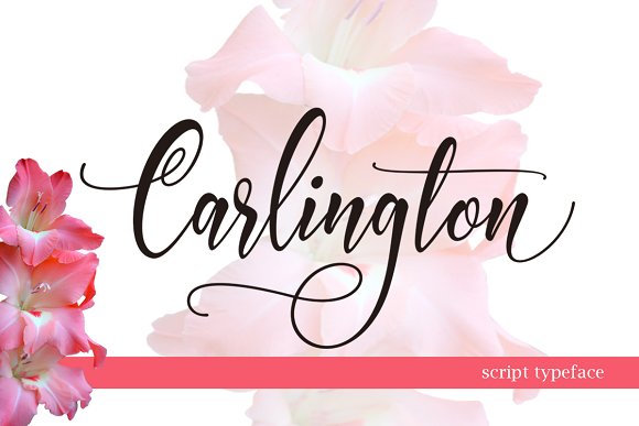 Carlington: A Modern Script Font for Branding