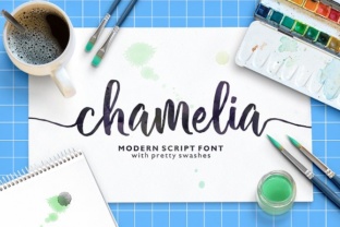 Chamelia: A Handwritten Font for Authentic Branding