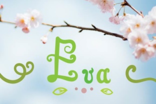 Eva Script: A Playful Hand-Drawn Typeface for Makers