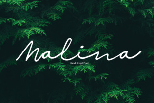 Malina: A Handwritten Font for Digital Design