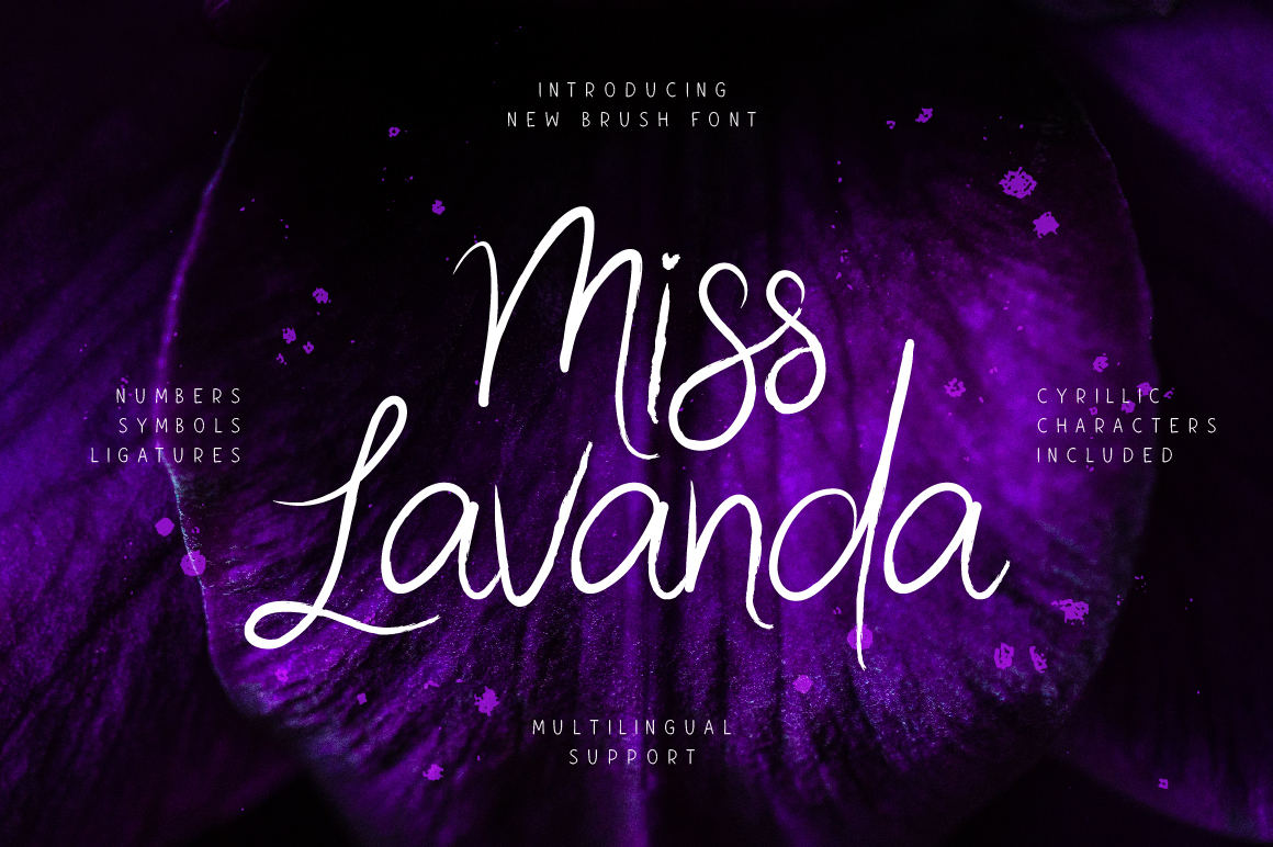 Miss Lavanda: The Script Font for Scroll-Stopping Designs