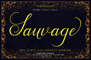 Sauvage Font: A Web Designer’s Review