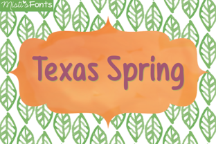 Texas Spring: A Clean Script Font for Editorial Design
